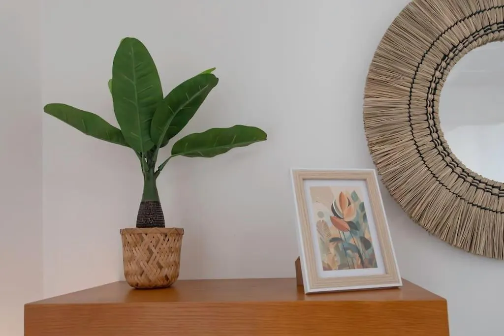 Apartment L55 2P Central Jean Medecin 10 Min A Pied Vieux Nice